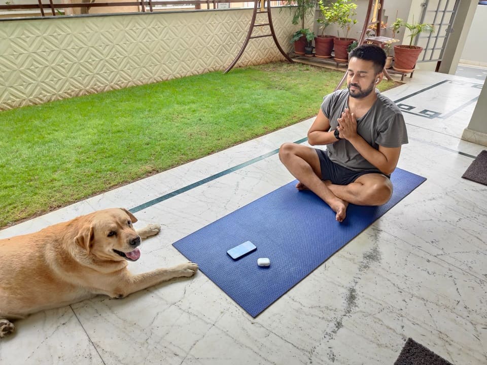 Downward facing dog, Max - 28 June 2023