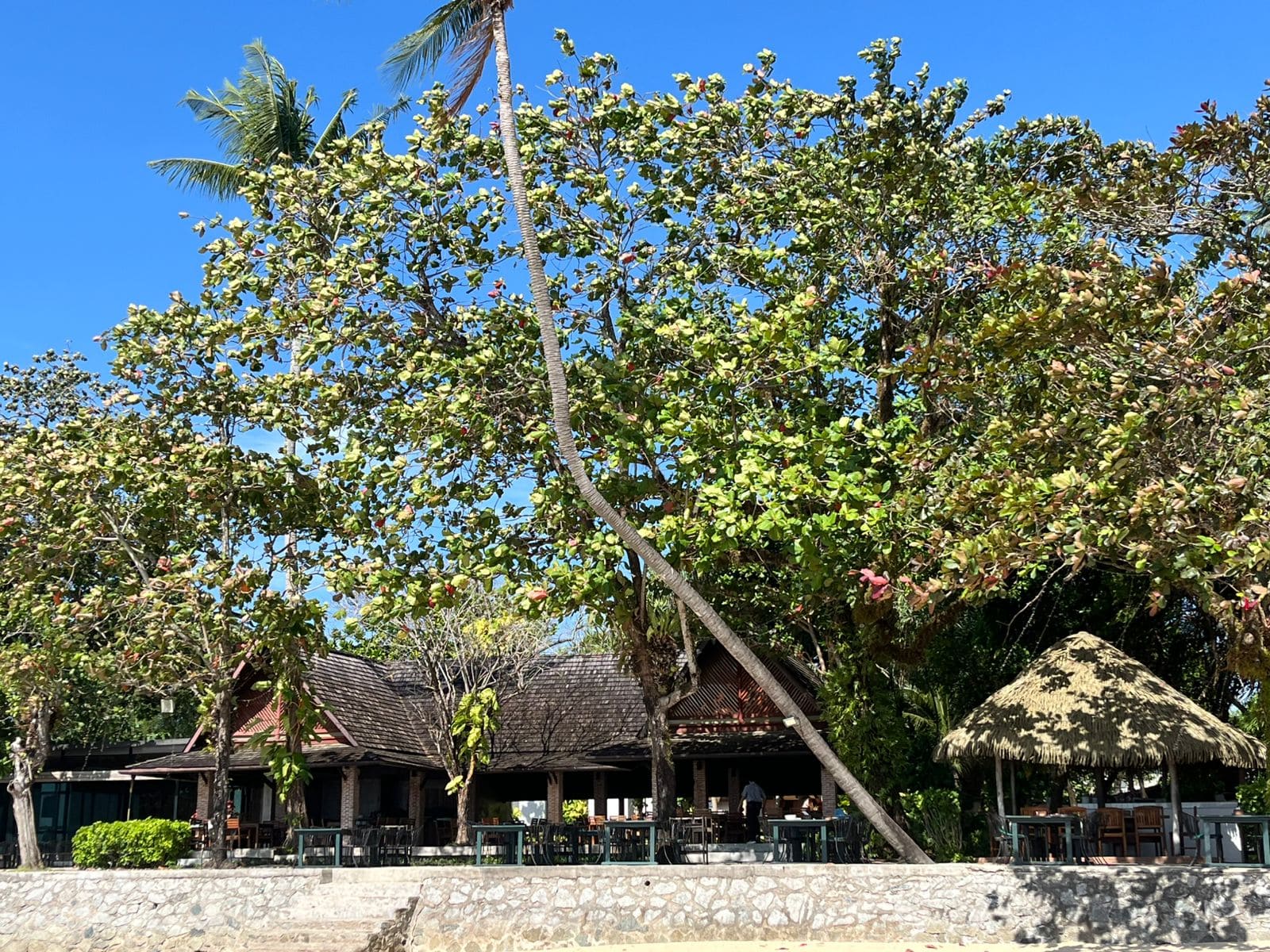 Phuket beachside, 25 January 2026