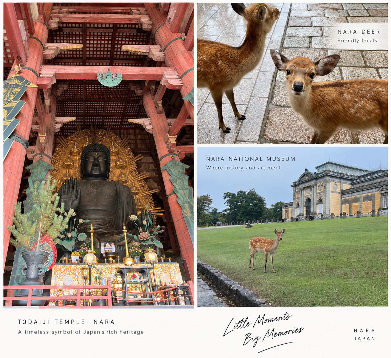 Nara, 8 September 2026